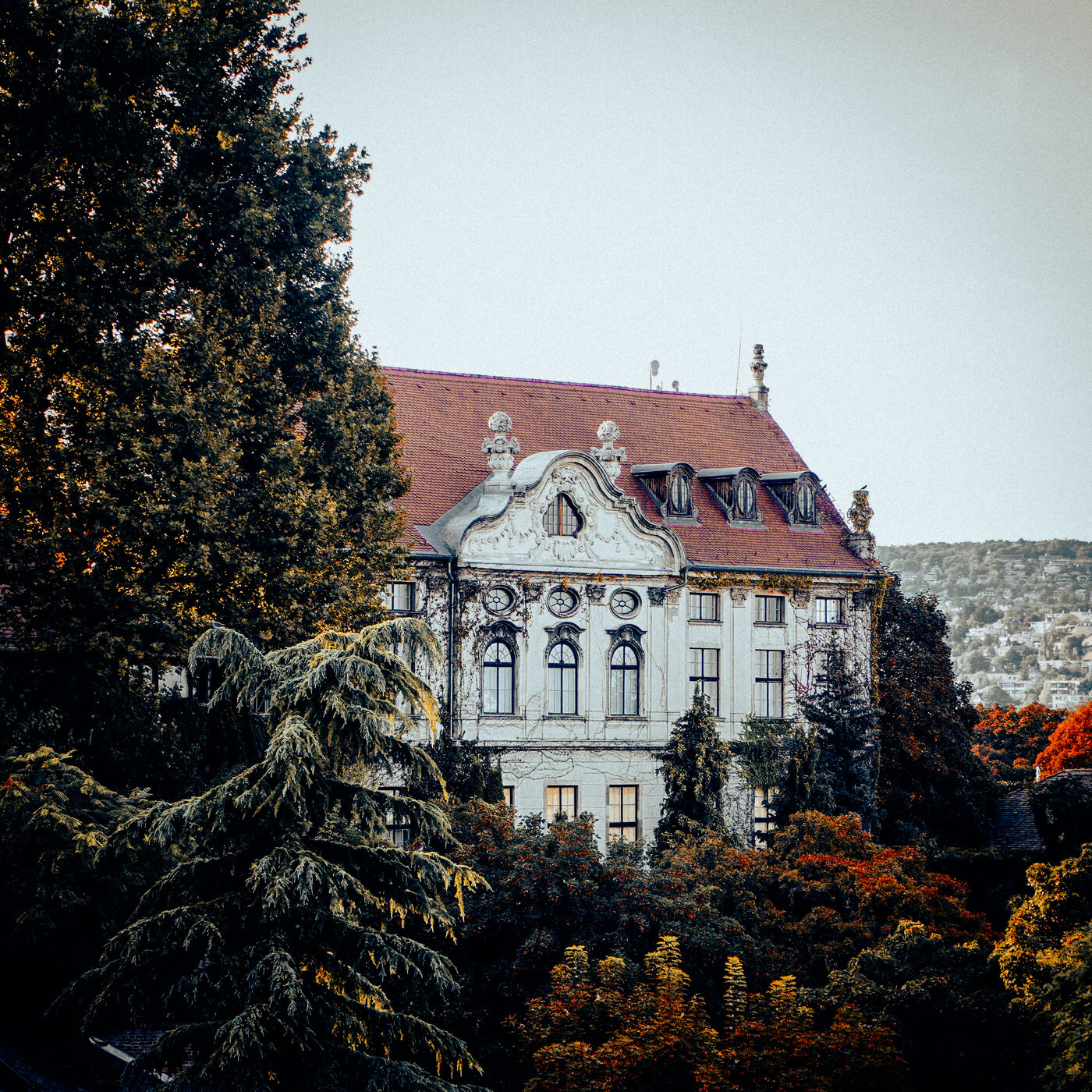 Photograph, September 2024