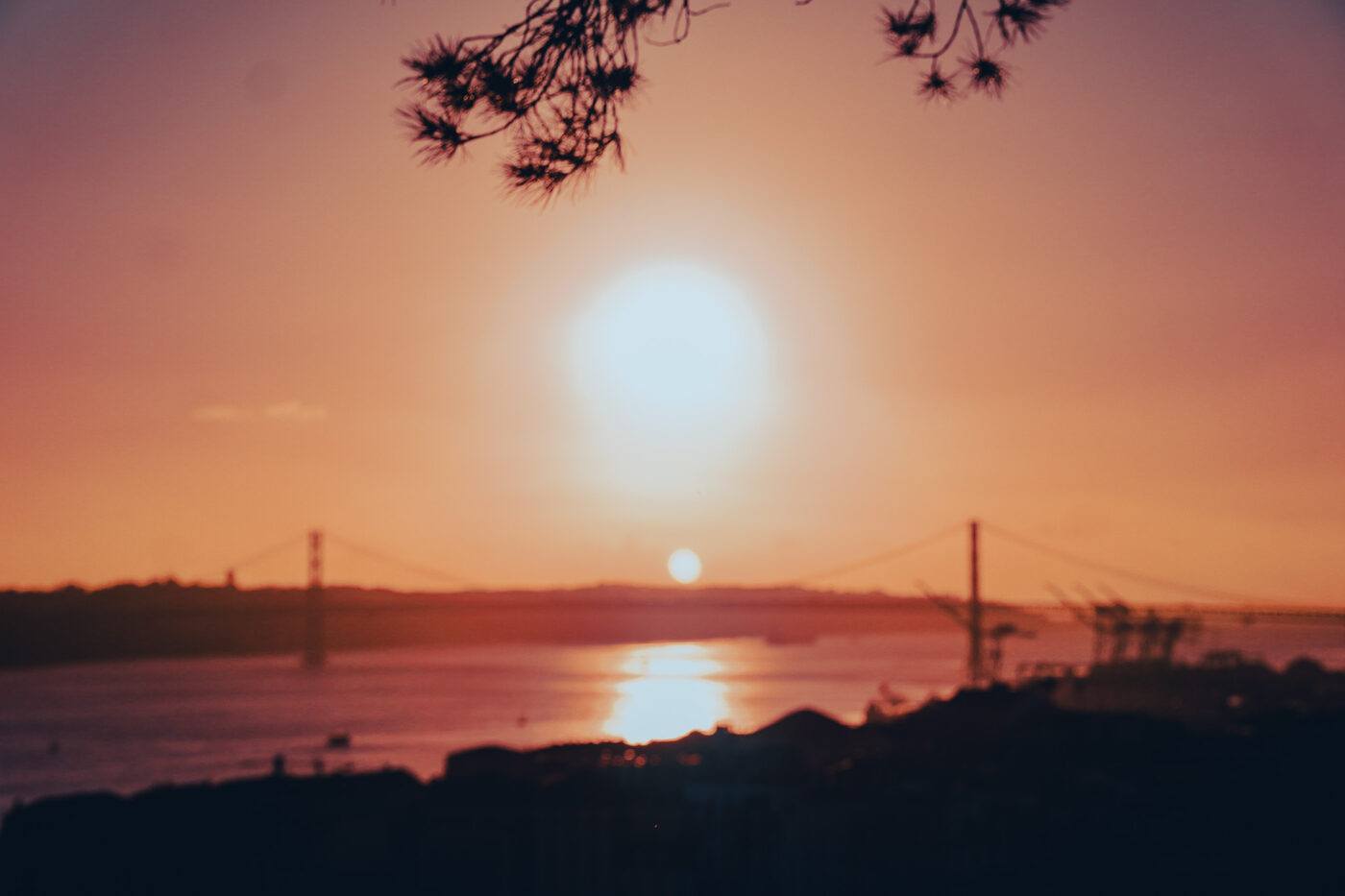 Photograph, January 2026