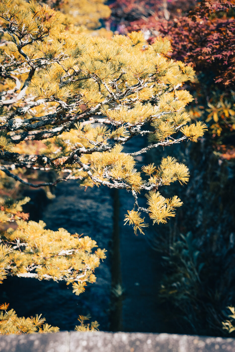 Photograph, November 2024