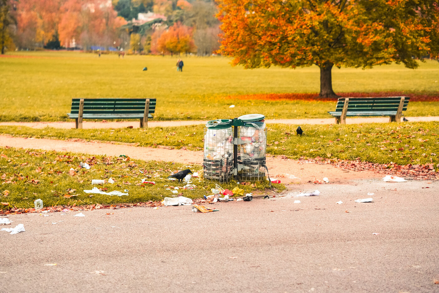 Photograph, November 2025
